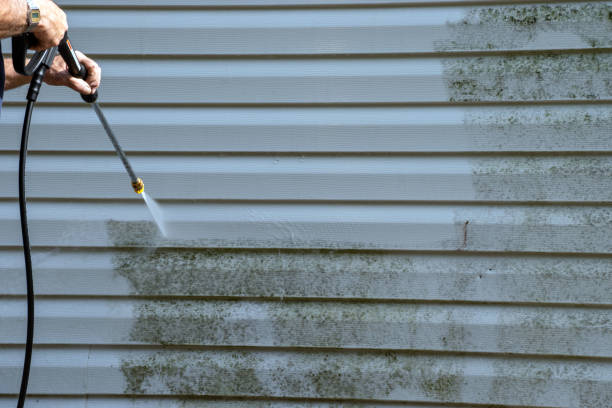 Trusted Mineral Point, WI Siding Installation & Repair Experts