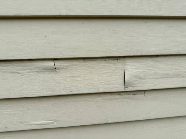 Best Historical Building Siding Restoration  in Mineral Point, WI